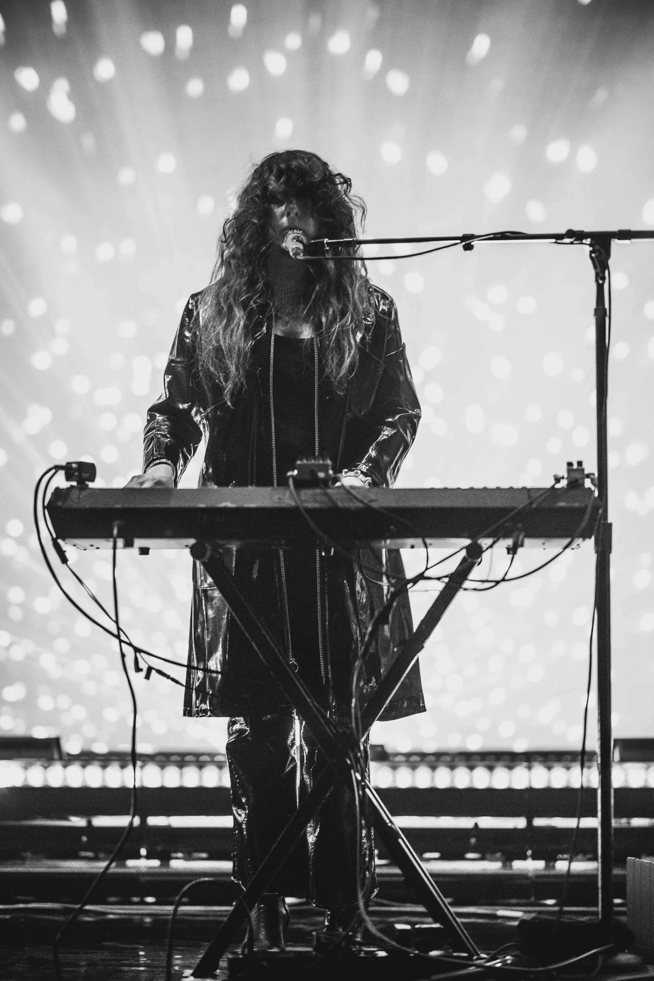 Beach House Concert - photo 29 of 38